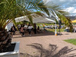 2024-06-16 Orangeriekonzert Orchester